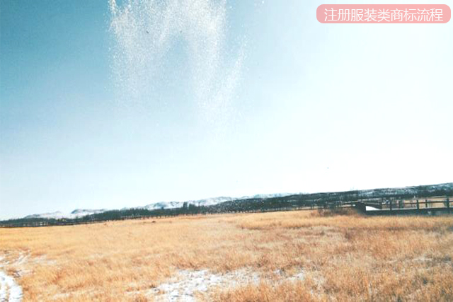 注冊(cè)服裝類商標(biāo)的流程是怎樣的? 注冊(cè)服裝類商標(biāo)的流程是怎樣的?
